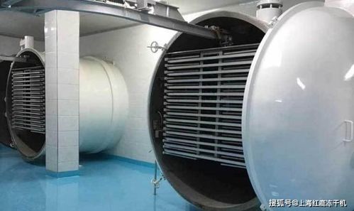 凍干食品市場分析及食品凍干生產設備發(fā)展趨勢與光伏設備及元器件銷售的關聯(lián)