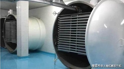 凍干粥生產(chǎn)設(shè)備及工藝流程解析與光伏設(shè)備元器件銷售市場(chǎng)概覽